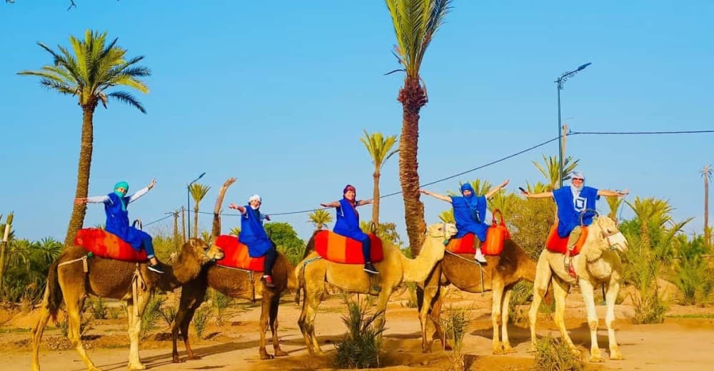 Camel Ride Palmeraie Marrakech Round Trip | ®ExcursionMania