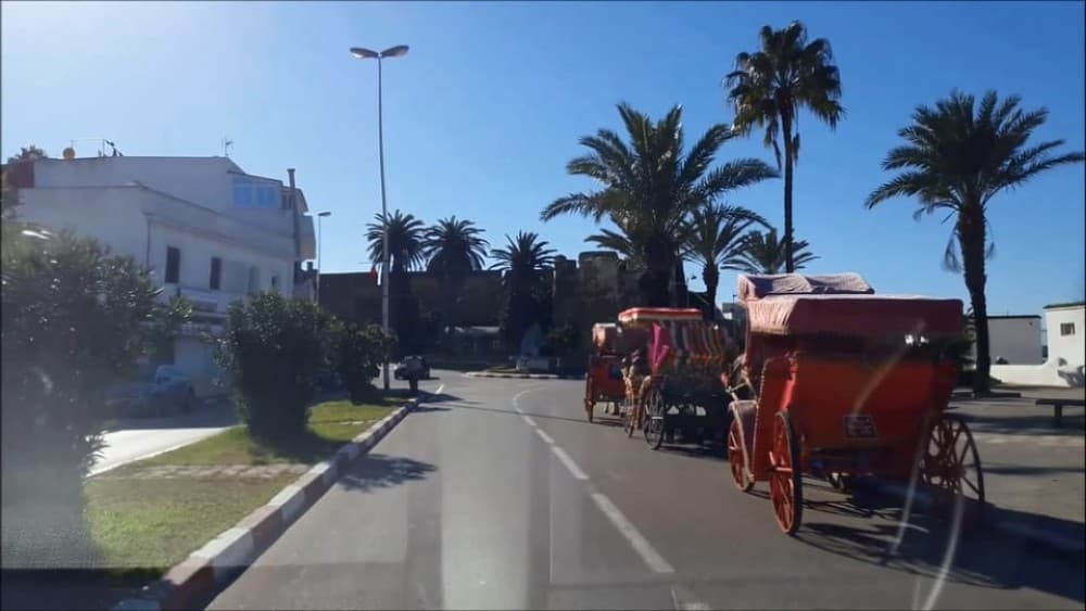 Asilah: Private Shore Excursion From Tangier | ®ExcursionMania