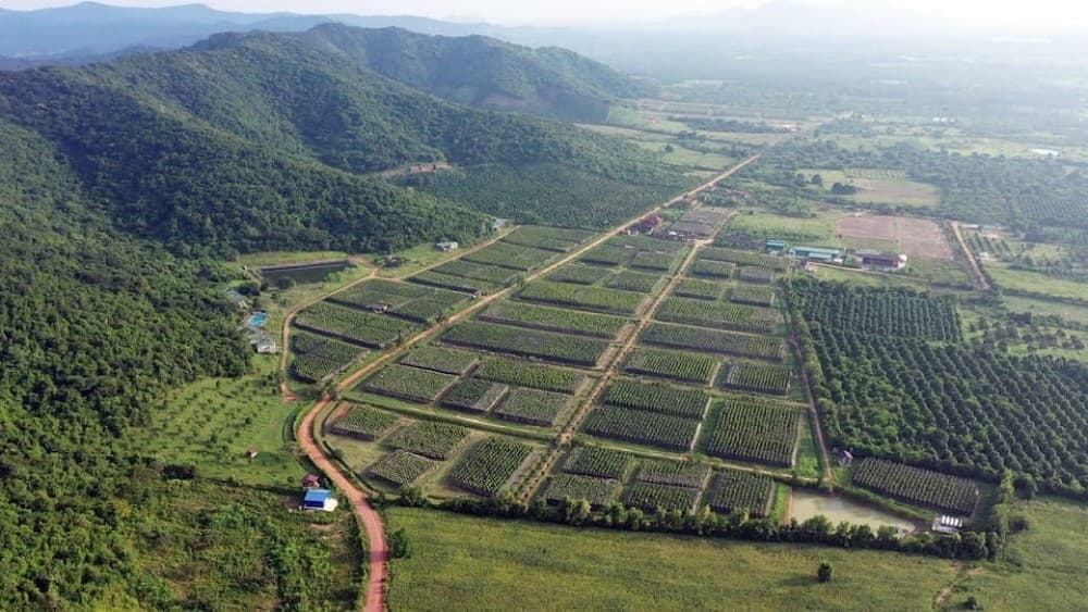 From Phnom Penh: Kampot Day Trip to Beautiful place W/ Guide | ®ExcursionMania
