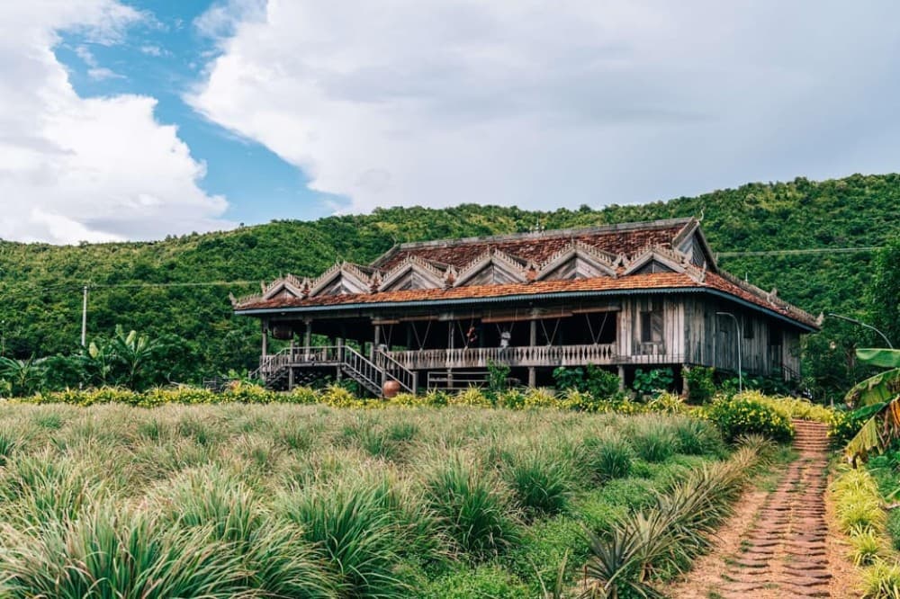 From Phnom Penh: Kampot Day Trip to Beautiful place W/ Guide | ®ExcursionMania