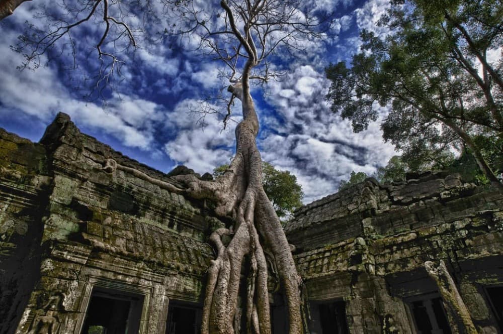 Angkor Zipline and Temple Tour with Sunset | ®ExcursionMania