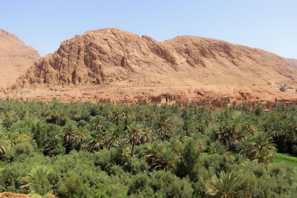 From Marrakesh: Atlas Mountains and Sahara Desert Car Tour | ®ExcursionMania