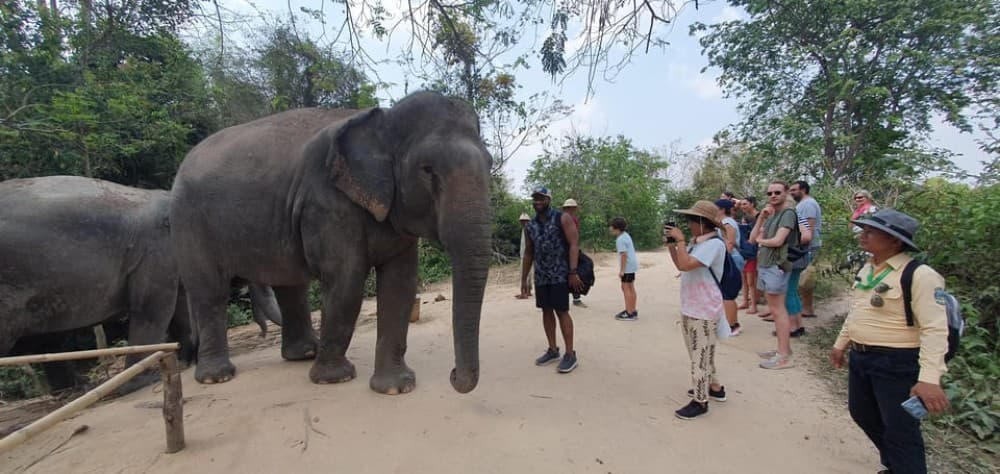 Kulen Elephant Forest & Tonlesap Lake Include boat /Transfer | ®ExcursionMania