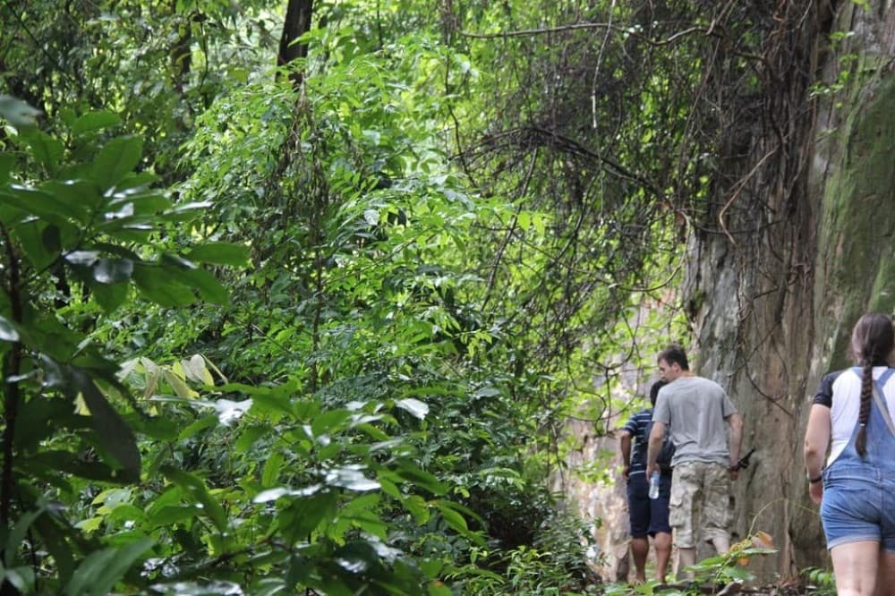 From Siem Reap: Phnom Kulen National Park Trekking Tour | ®ExcursionMania