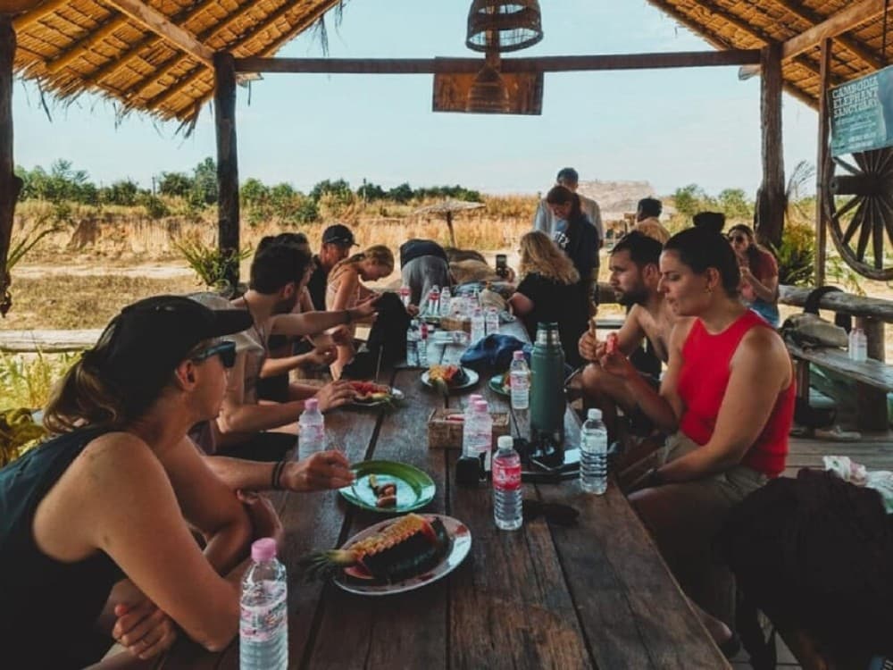Cambodia Elephant Sanctuary Include Hotel Transfer Roundtrip | ®ExcursionMania