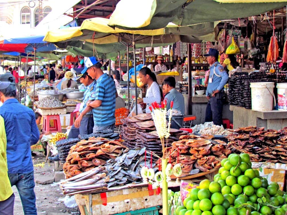 Scenic Phnom Penh to Siem Reap Transfer with Sightseeing | ®ExcursionMania