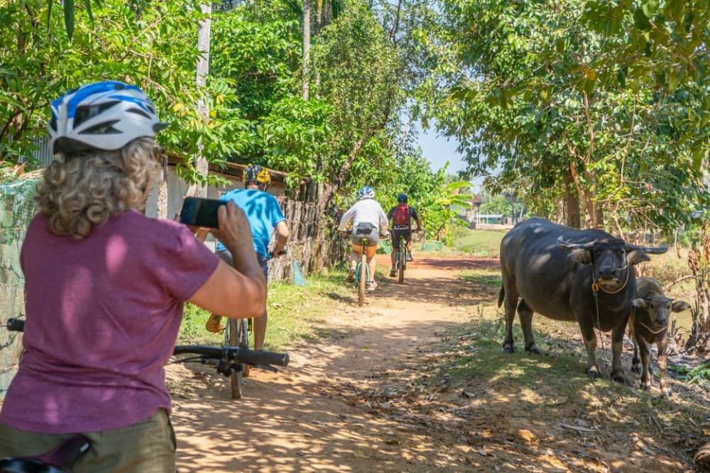 Kampong Phluk: Floating Village Bike Tour and Sunset Cruise | ®ExcursionMania