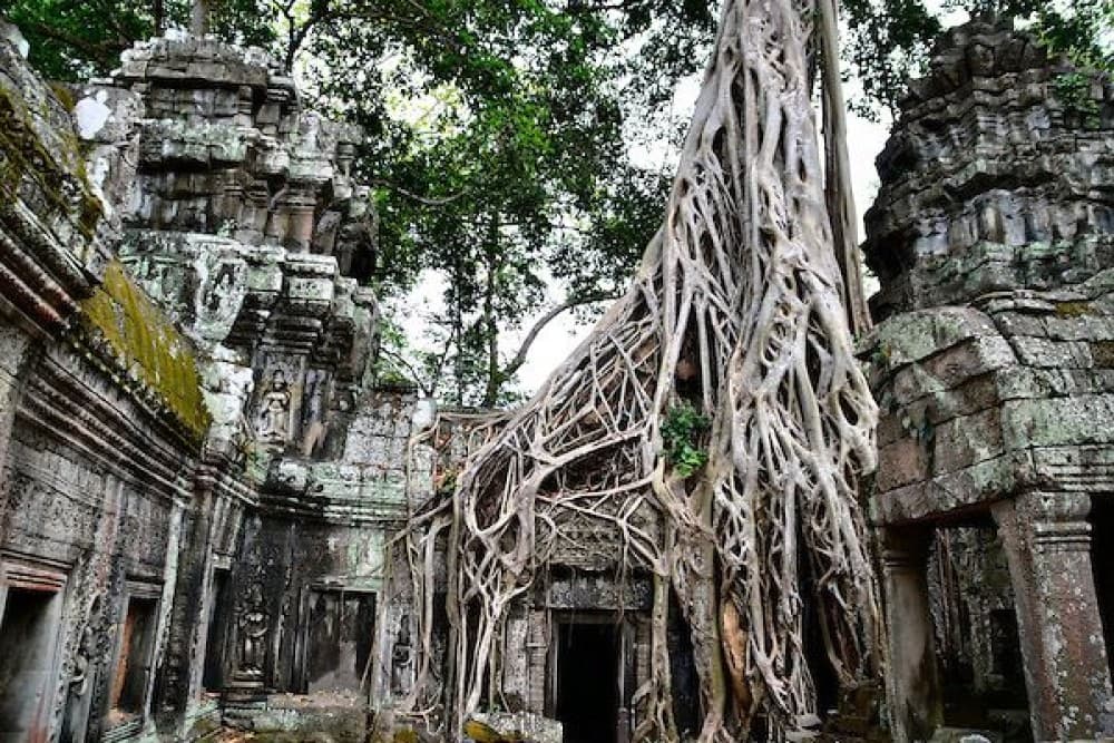 Siem Reap: Angkor Wat Temples & Phnom Kulen Park 3-Day Tour | ®ExcursionMania
