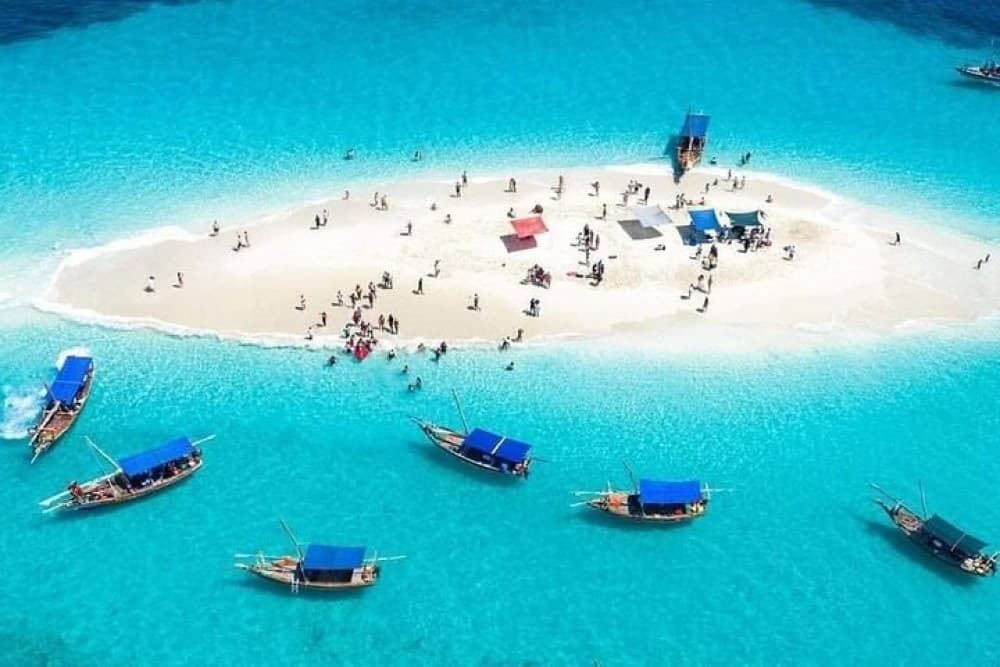 Dolphin Tour, Blue Lagoon, Starfish, The Rock, Paje Beach | ®ExcursionMania
