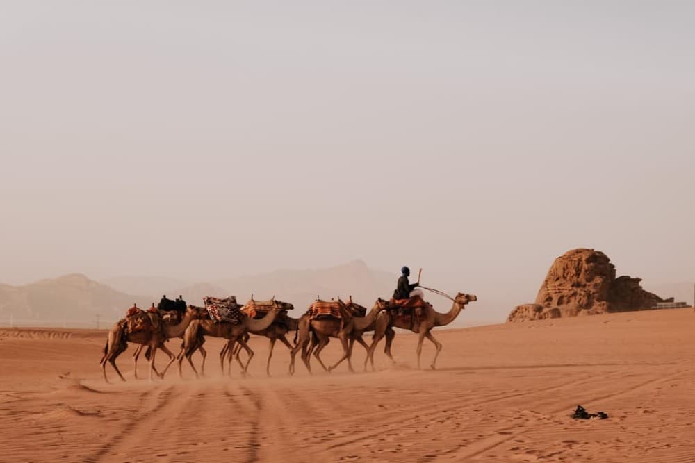 4-Days tour : Jerash, Amman, Petra ,Wadi-rum& Dead-sea | ®ExcursionMania