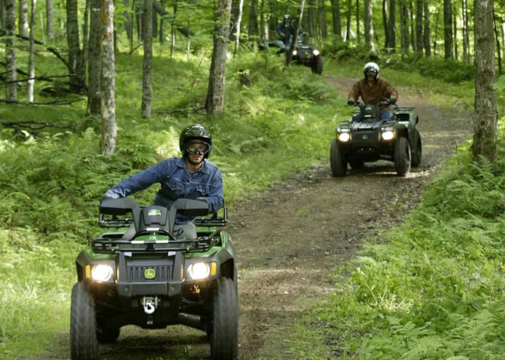 Istanbul: Quad Safari Adventure in Belgrad Forest | ®ExcursionMania