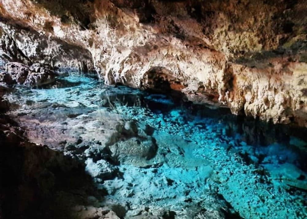 Mnemba Dolphin Tour, The Rock Restaurant, Kuza Cave Tour | ®ExcursionMania