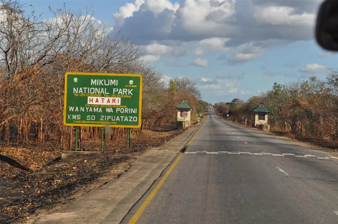 Mikumi National Park Day Visit | ®ExcursionMania