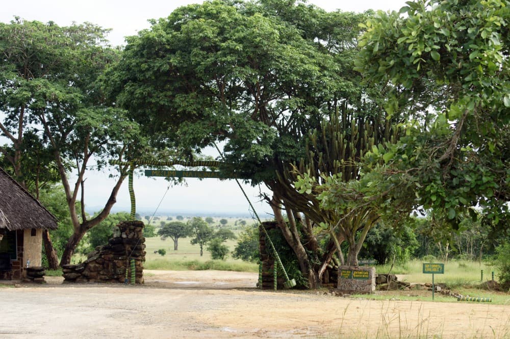 Mikumi National Park Day Visit | ®ExcursionMania