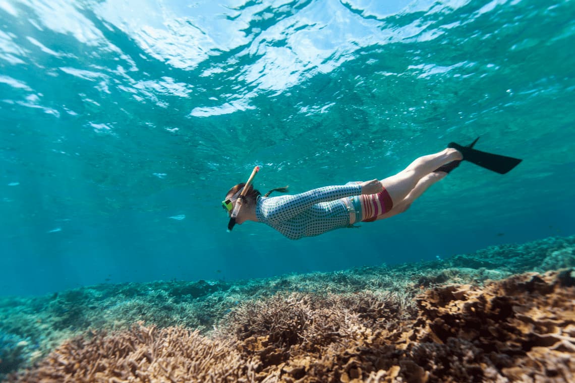 Dolphin & Tumbatu Island Snorkeling | ®ExcursionMania