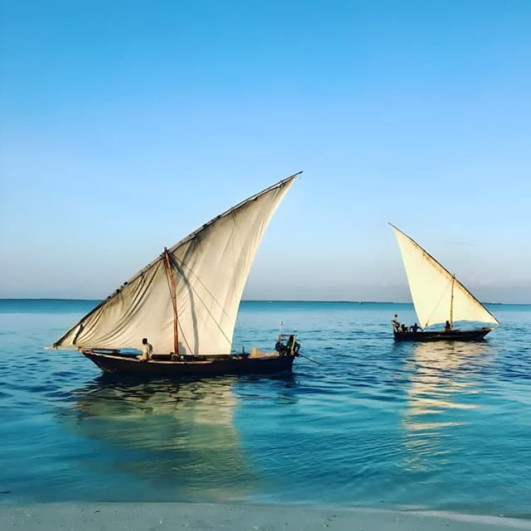 Zanzibar: Safari blue tour | ®ExcursionMania