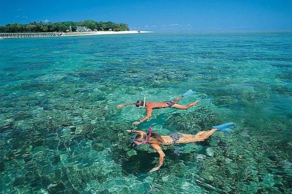 Zanzibar: Mnemba atoll, dolphin & snorkelling tour | ®ExcursionMania