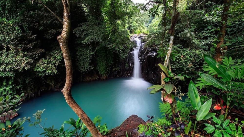 North Bali: All Inclusive Guided Aling Waterfall Canyoning | ®ExcursionMania
