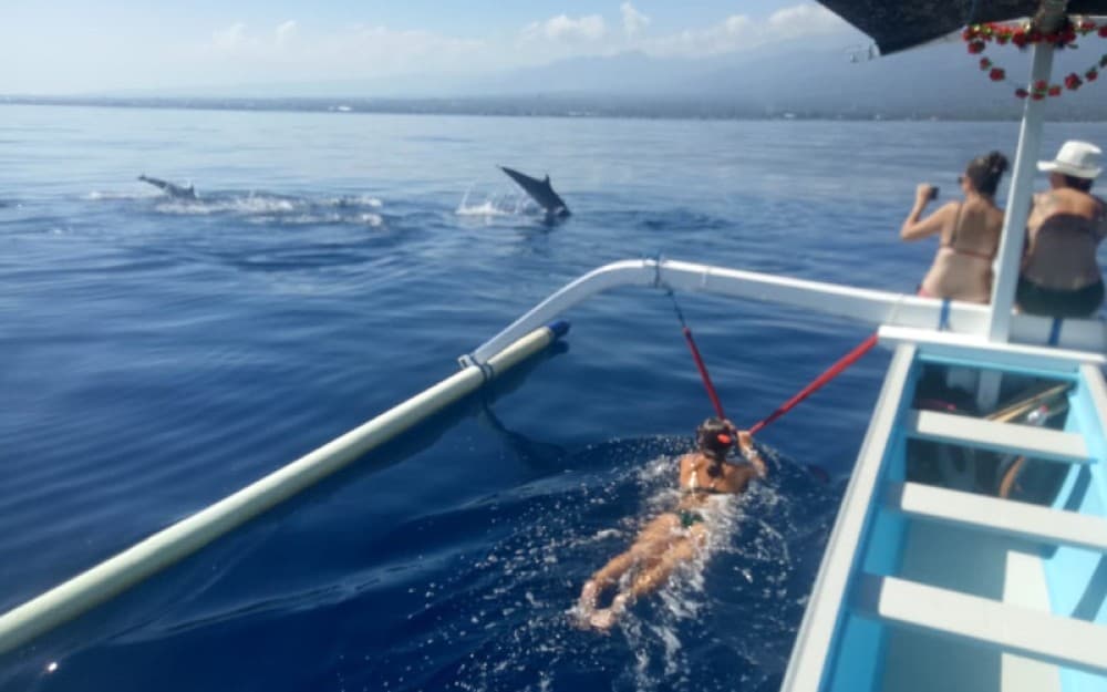 Lovina/Bali: Dolphin Watching Tour, Swimming and Snorkeling | ®ExcursionMania