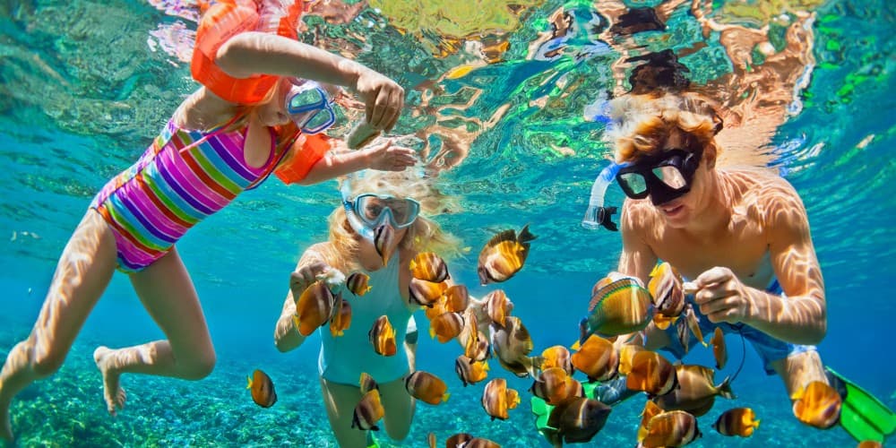 Lovina/Bali: Dolphin Watching Tour, Swimming and Snorkeling | ®ExcursionMania