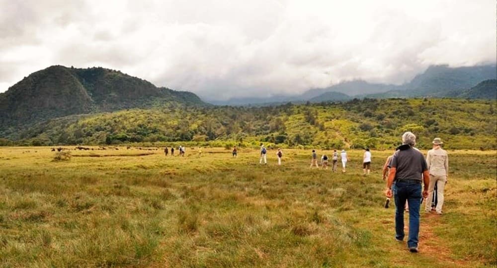 Arusha Guided Walking City Tour Culture, lifestyle & history | ®ExcursionMania