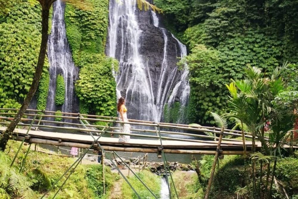 Bali: Explore North Bali Customized Private Day Tour | ®ExcursionMania