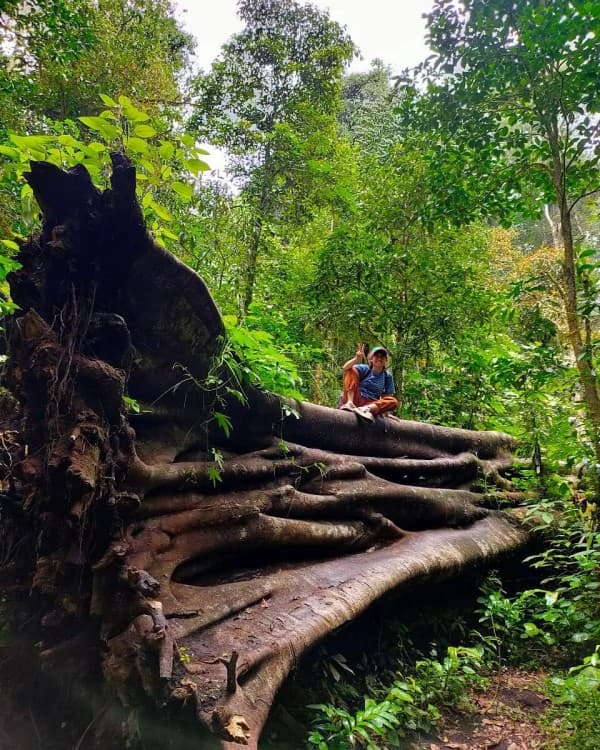 Munduk: Twin Lake Jungle Hike, Ulun Danu Temple, & Waterfall | ®ExcursionMania