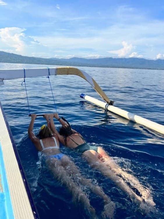 North Bali: Dolphin, Ulun Danu Temple, & Banyumala Waterfall | ®ExcursionMania