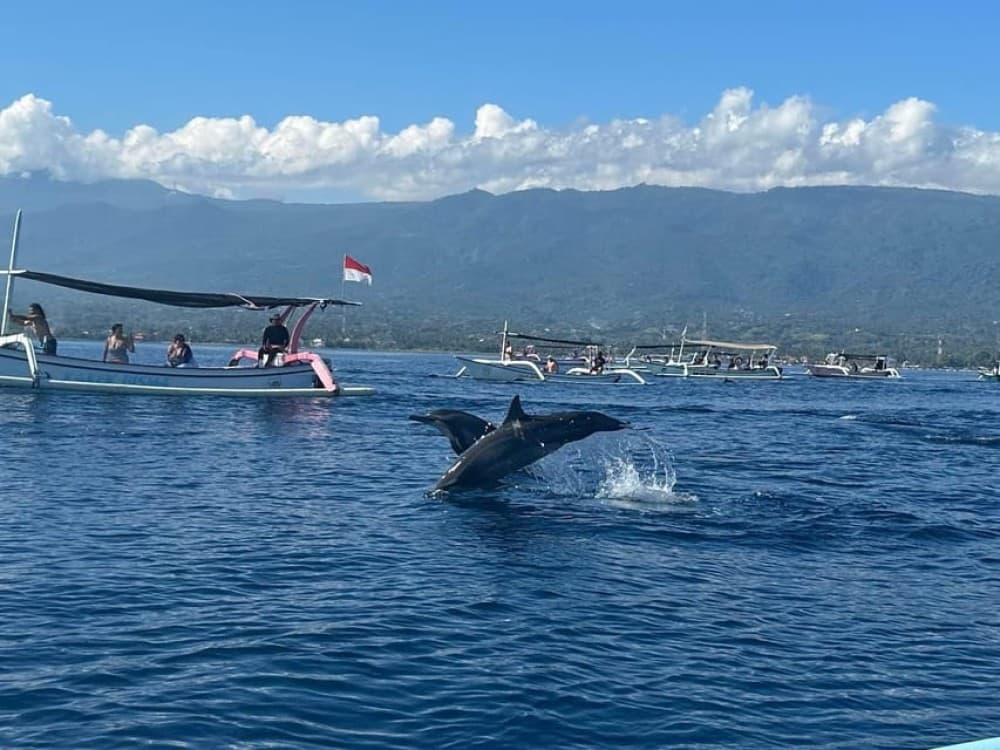 North Bali: Dolphin, Ulun Danu Temple, & Banyumala Waterfall | ®ExcursionMania