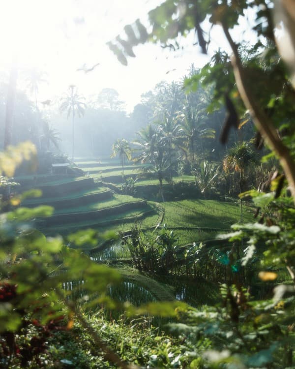 3-Day Private Tour of Bali Highlights | ®ExcursionMania