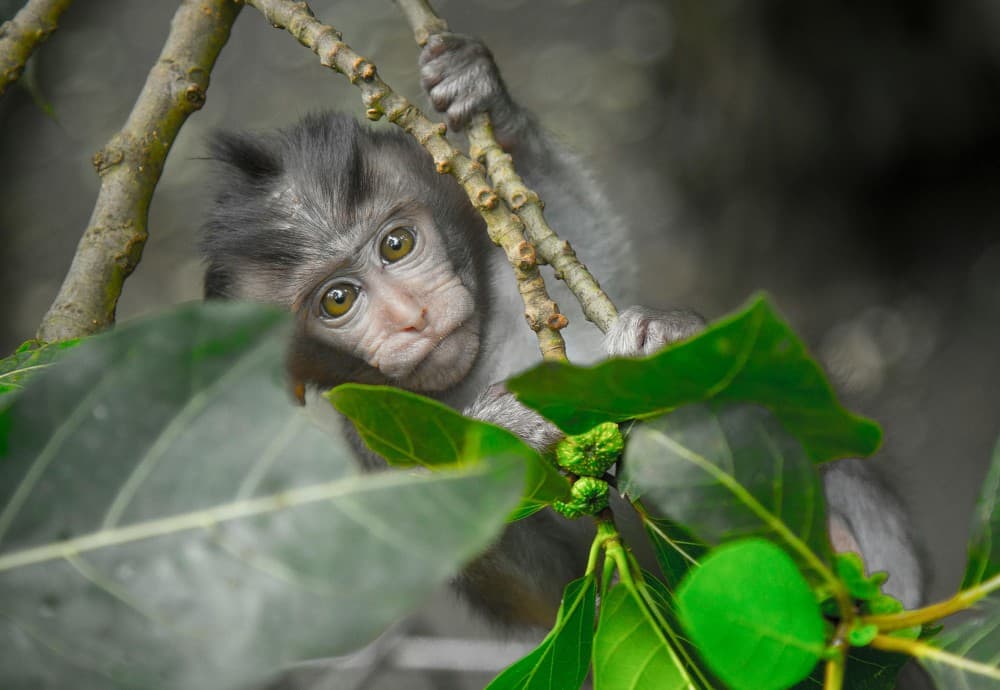 3-Day Private Tour of Bali Highlights | ®ExcursionMania
