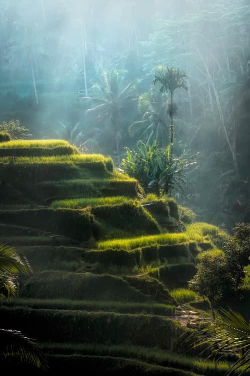 3-Day Private Tour of Bali Highlights | ®ExcursionMania