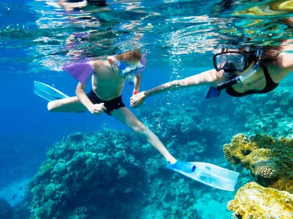 Icmeler Snorkeling Tour With Free Lunch & Hotel Transfer | ®ExcursionMania
