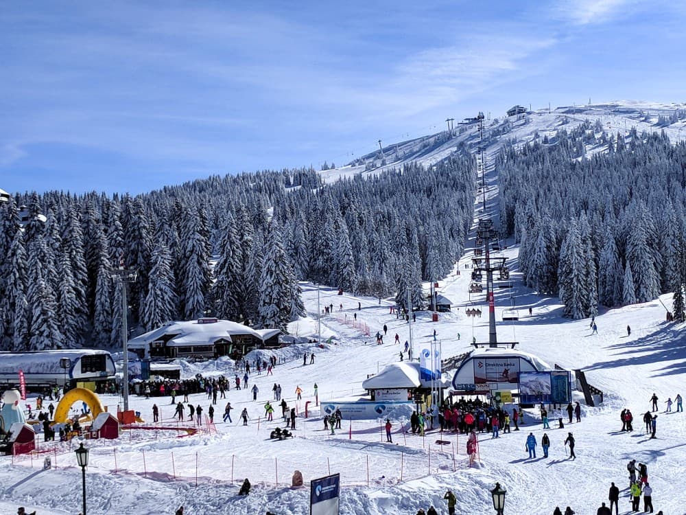 From Belgrade: Kopaonik national park & Ski resort-full day | ®ExcursionMania
