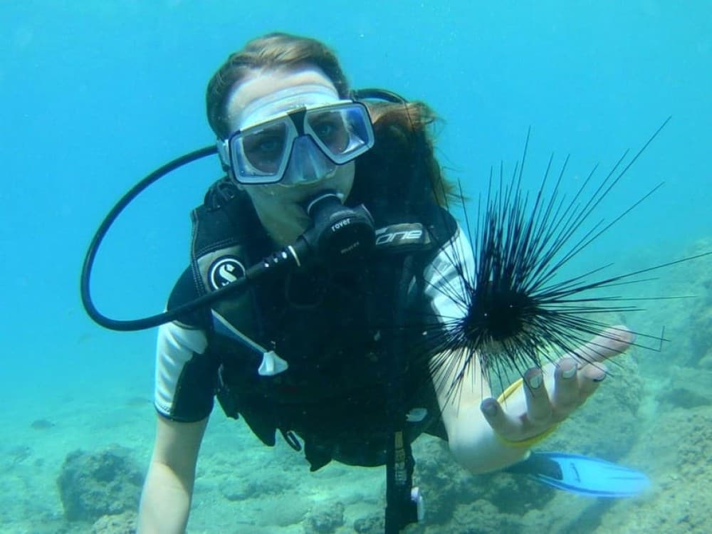 Antalya/Kemer: Scuba Diving with Hotel Transfer, Lunch, and 2  Dives | ®ExcursionMania