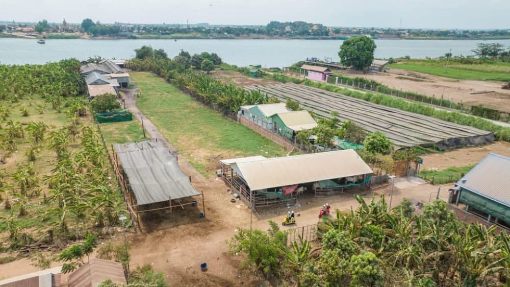 Phnom Penh Silk Island Sunset Haft Day Vespa Tour | ®ExcursionMania