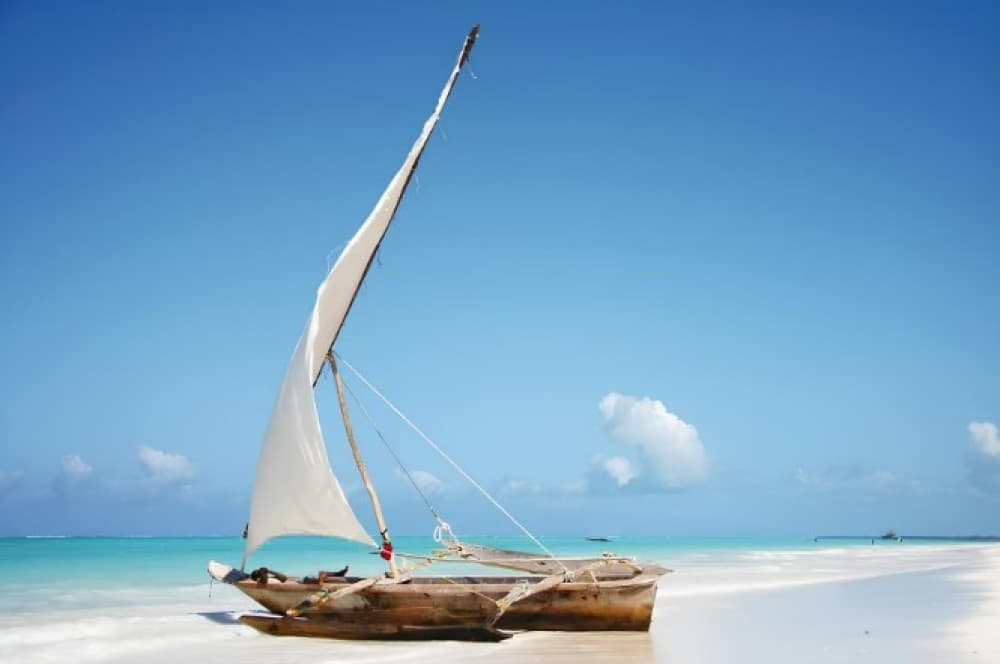 Jozani Forest, Blue Lagoon, Starfish, The Rock, Paje Beach | ®ExcursionMania