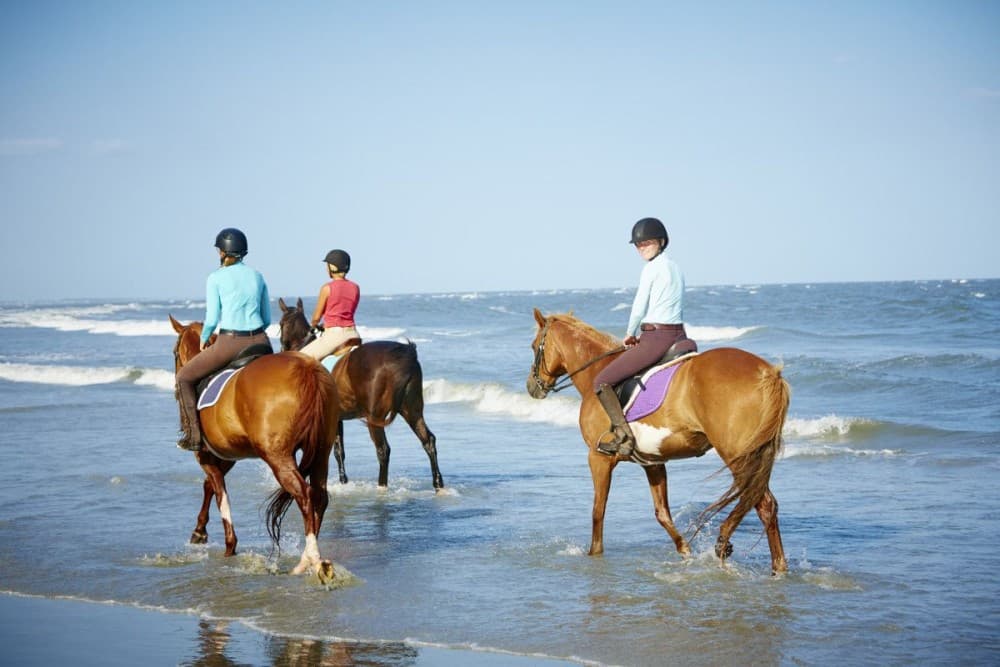 Kuza Cave, The Rock Restaurant, Spice Tour, Horseback Riding | ®ExcursionMania