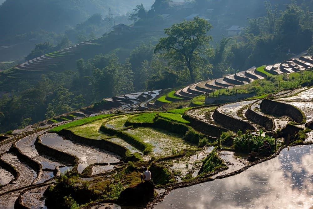 Sapa 2-Days Tour Fansipan Peak Conquer Limousine Transfer | ®ExcursionMania