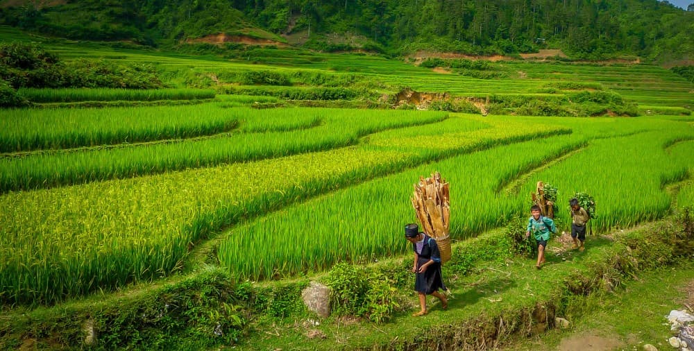 2-Day 2-Night Sapa Tour by Overnight Train 1 way from Ha Noi | ®ExcursionMania