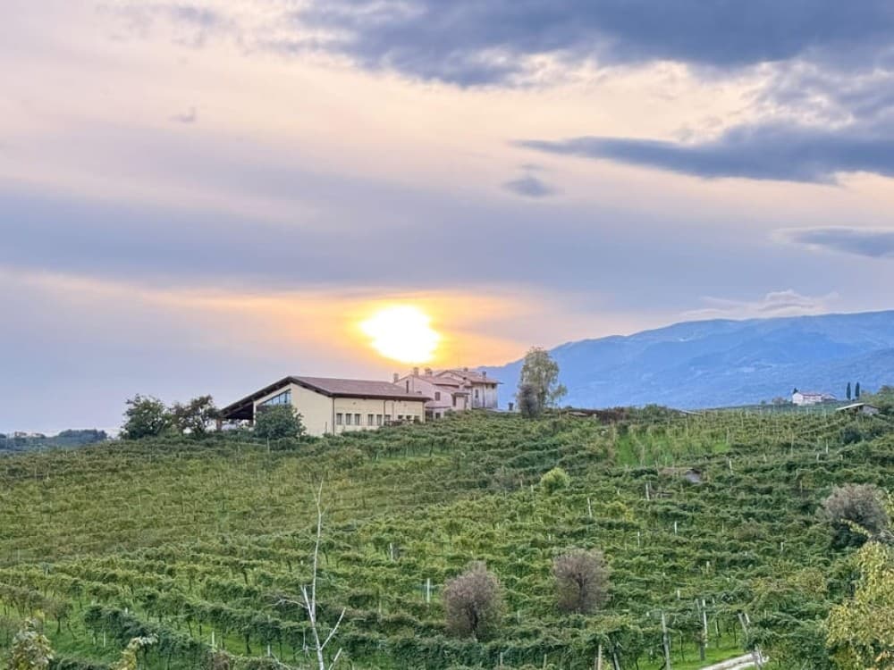 From Venice: Treviso, Prosecco, and Wine Tasting Tour | ®ExcursionMania