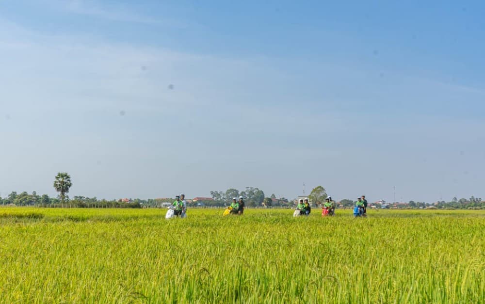 Siem Reap: Sunset Guided Vespa Tour & Local Villages | ®ExcursionMania