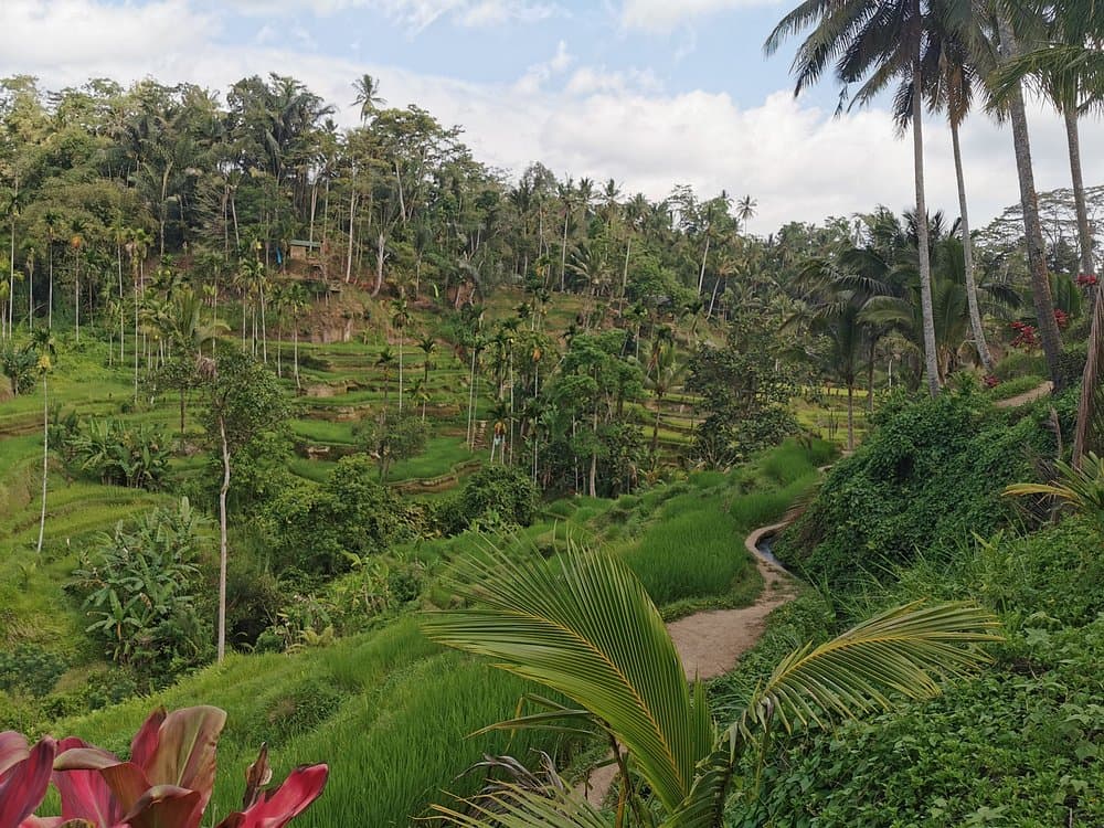 Ancient Temples and Jatiluwih Rice Terrace Private Tour | ®ExcursionMania