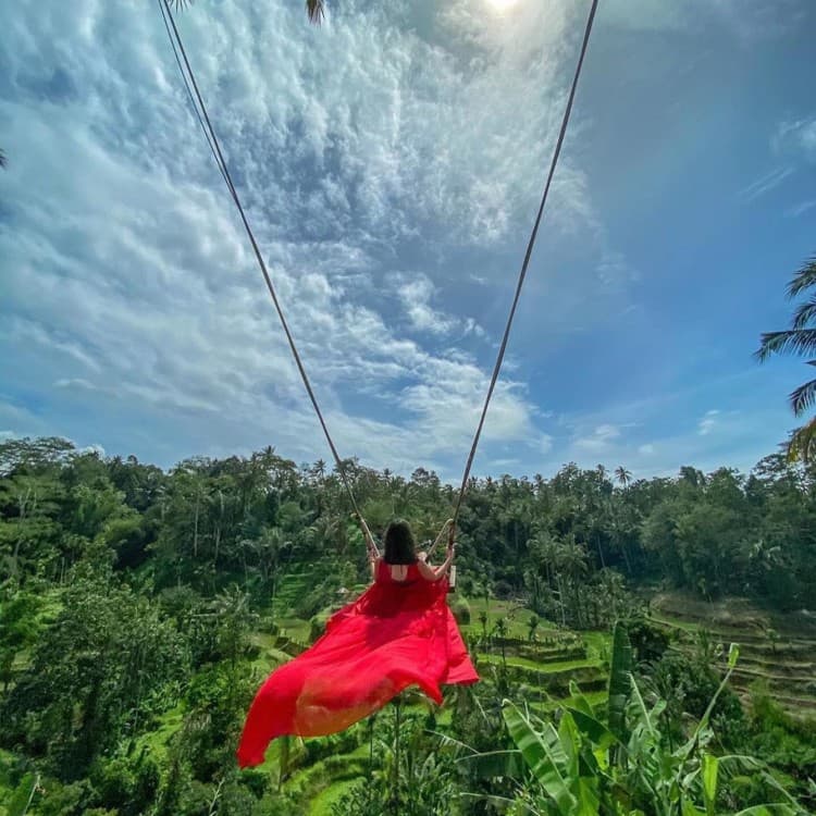Ubud Half Day Private Instagram Tour | ®ExcursionMania