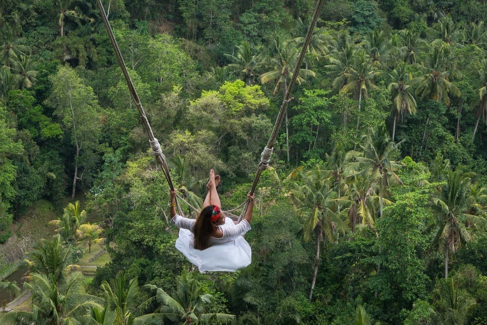 Best of Ubud Full-Day Tour with Jungle Swing | ®ExcursionMania