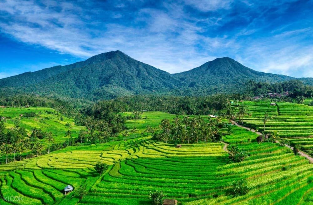 Private Full Day Tour: Best UNESCO Sites in Bali | ®ExcursionMania