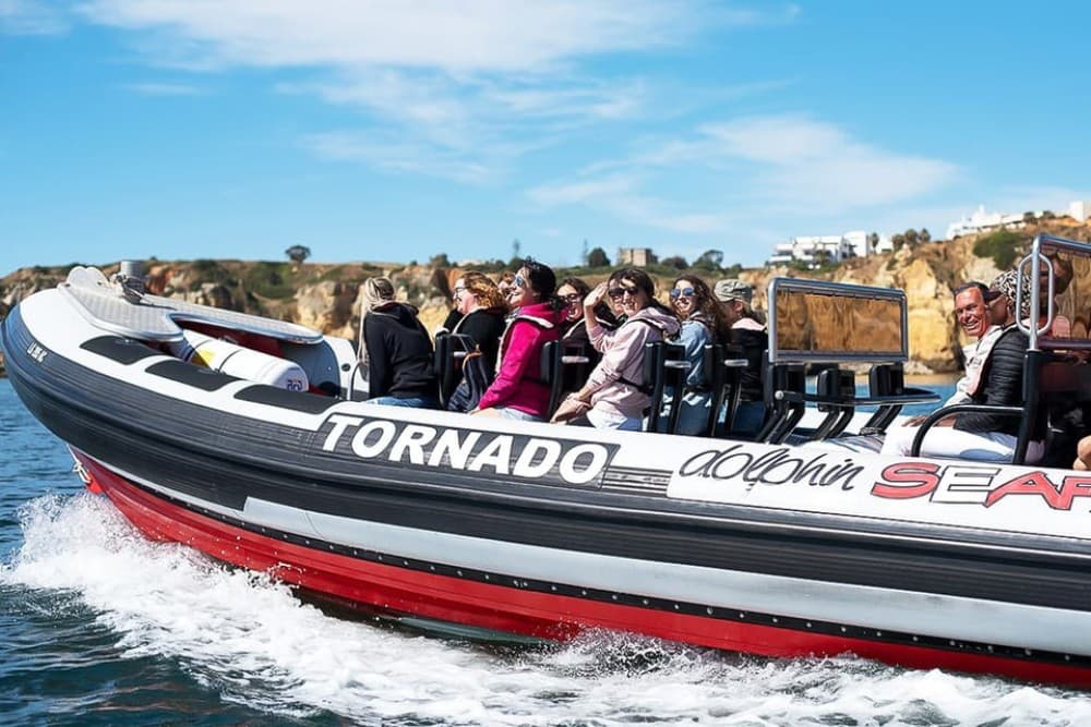 Lagos: Dolphin Watching with Professional Marine Biologists | ®ExcursionMania