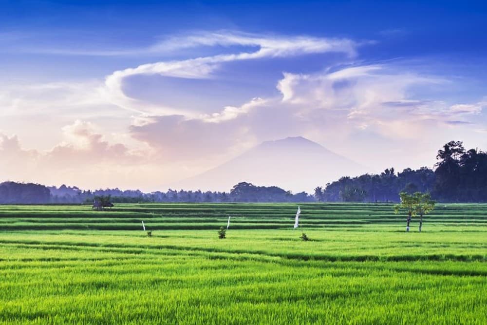 Highlights of Ubud & Mount Batur Volcano - Private Day Trip | ®ExcursionMania