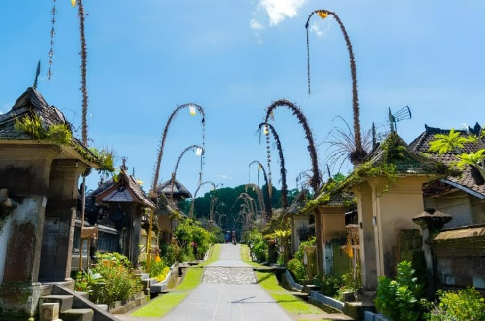 Half-Day Ubud Rice Field and Village Cycling Tour | ®ExcursionMania