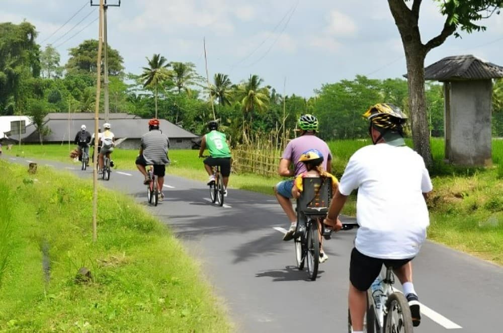 Half-Day Ubud Rice Field and Village Cycling Tour | ®ExcursionMania